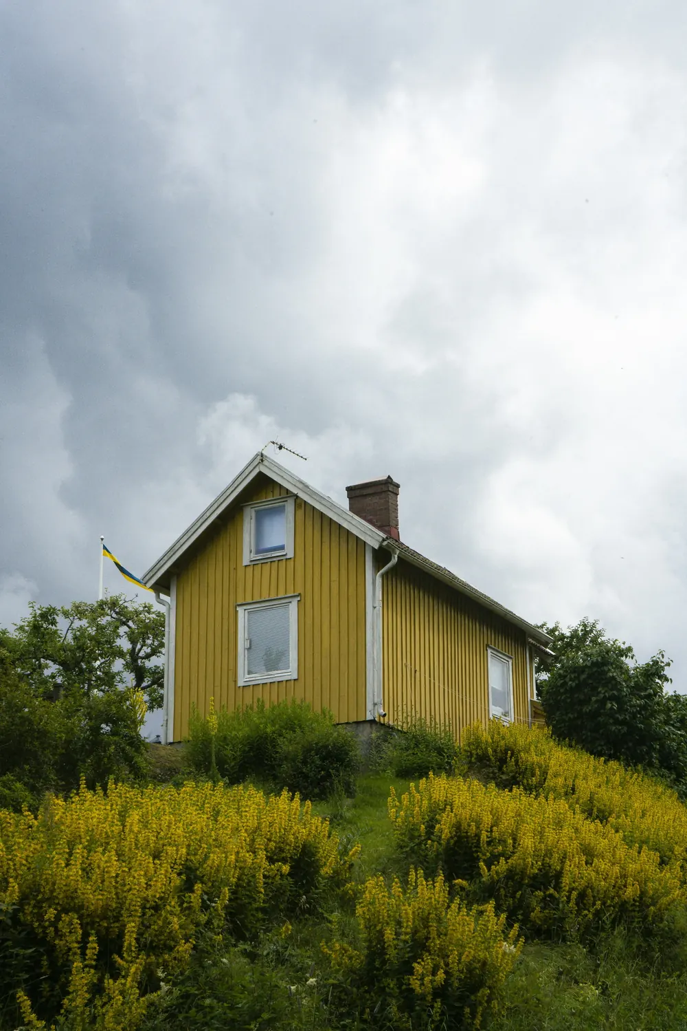 Gult trähus på en kulle med blommande buskar